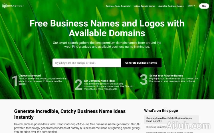 Business Names and Logos