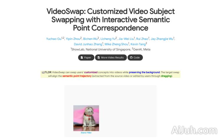 VideoSwap