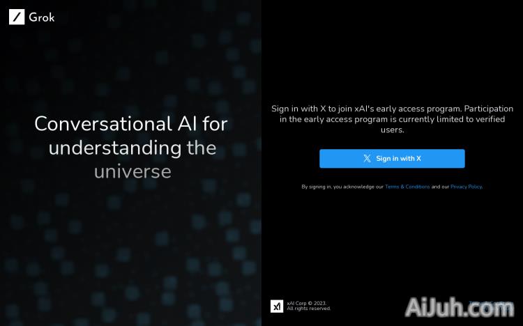 xAI Grok