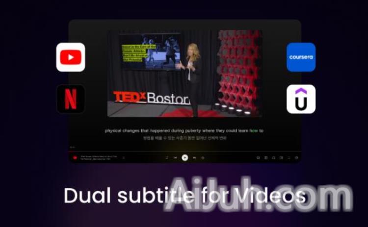 Youtube AI subtitle and Web Translator