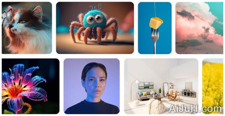 晨羽智云 晨羽智云