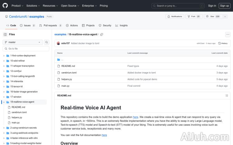 Real-time Voice AI Agent