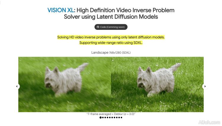 VISION XL