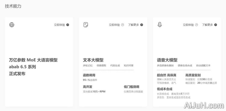MiniMax大语言模型 MiniMax大语言模型