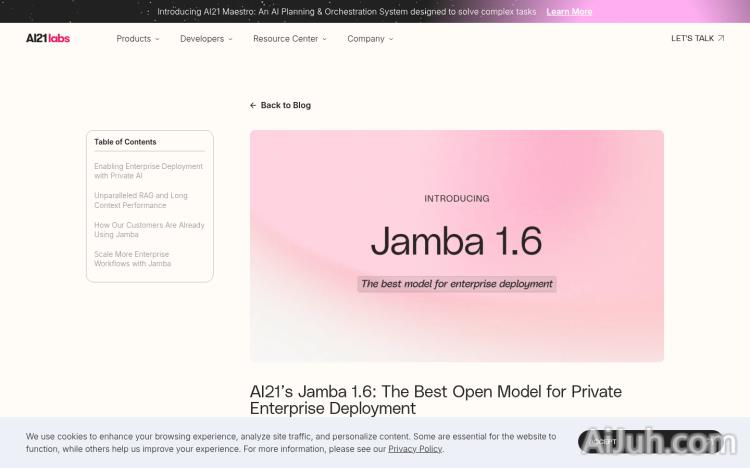 Jamba 1.6