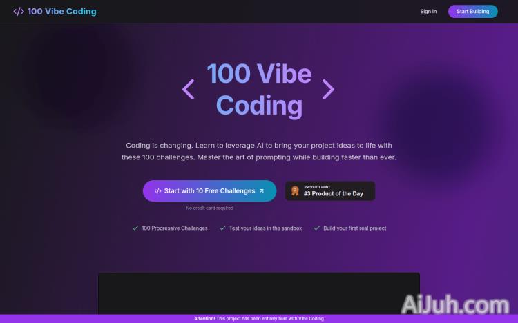 100 Vibe Coding