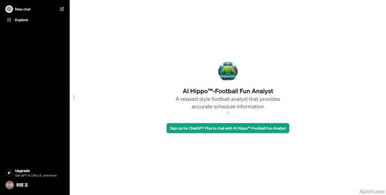 AI Hippo™-Football Fun Analyst