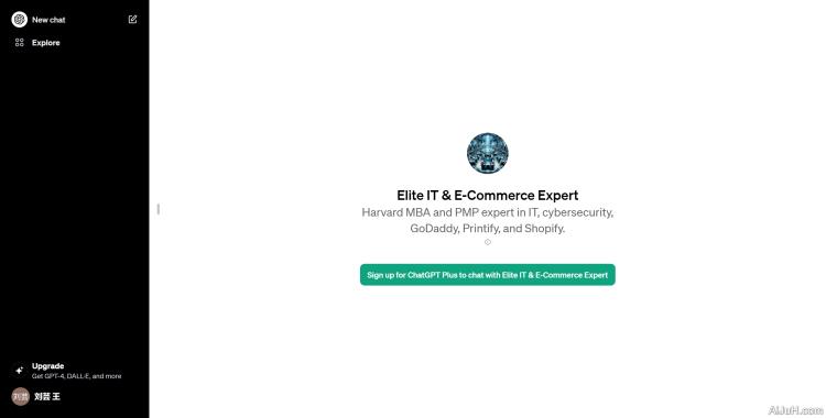 Elite IT & E-Commerce Expert