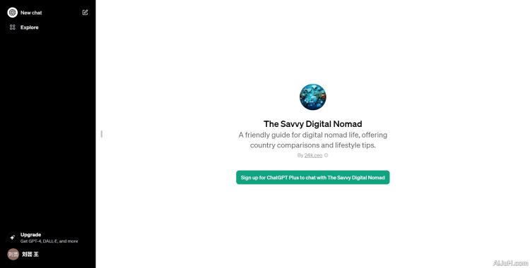 The Savvy Digital Nomad