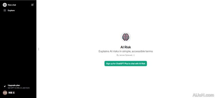 AI Risk