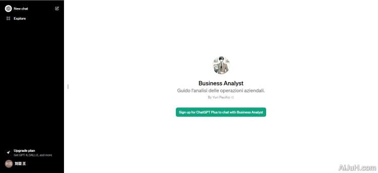 Business Analyst