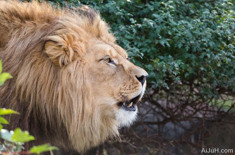 wallpaper abyss 壁纸